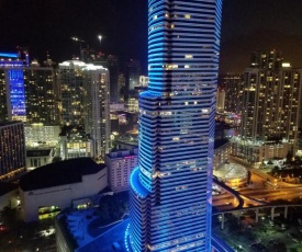 Downtown Miami Deluxe Apartment