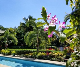 Tropical Studio with Private Kitchen and Bath